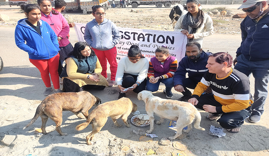 Successfully completed one year of Mathura Dog Station; Awareness campaign launched from Mathura Bus Stand