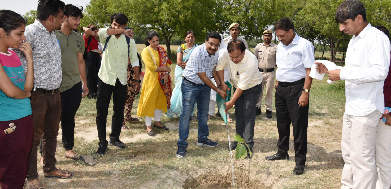 Sonipat: Plants are the basis of human life: Vice Chancellor Prof. Anayat