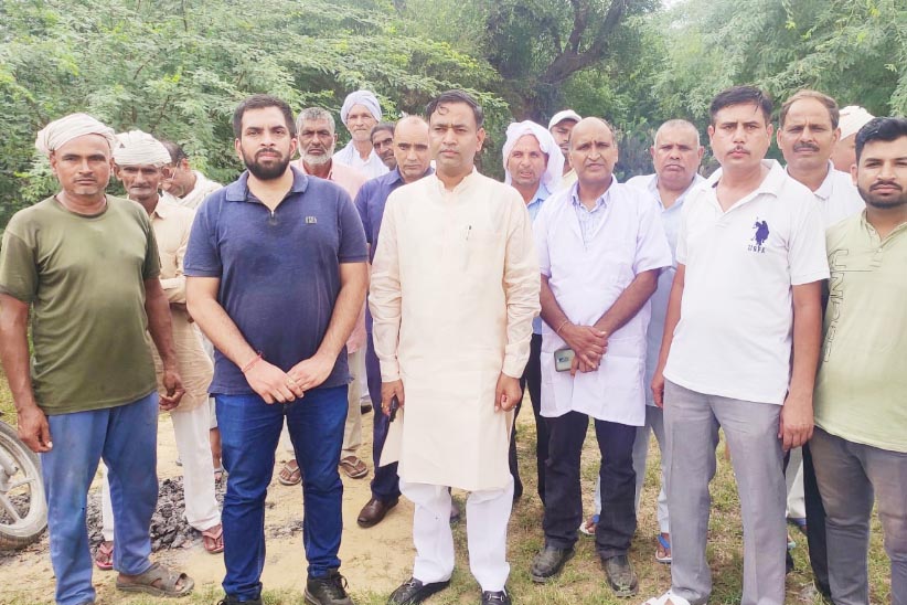 Sonepat: Khedi Gujjar team of doctors did post-mortem of dead buffalo, fear of food poisoning