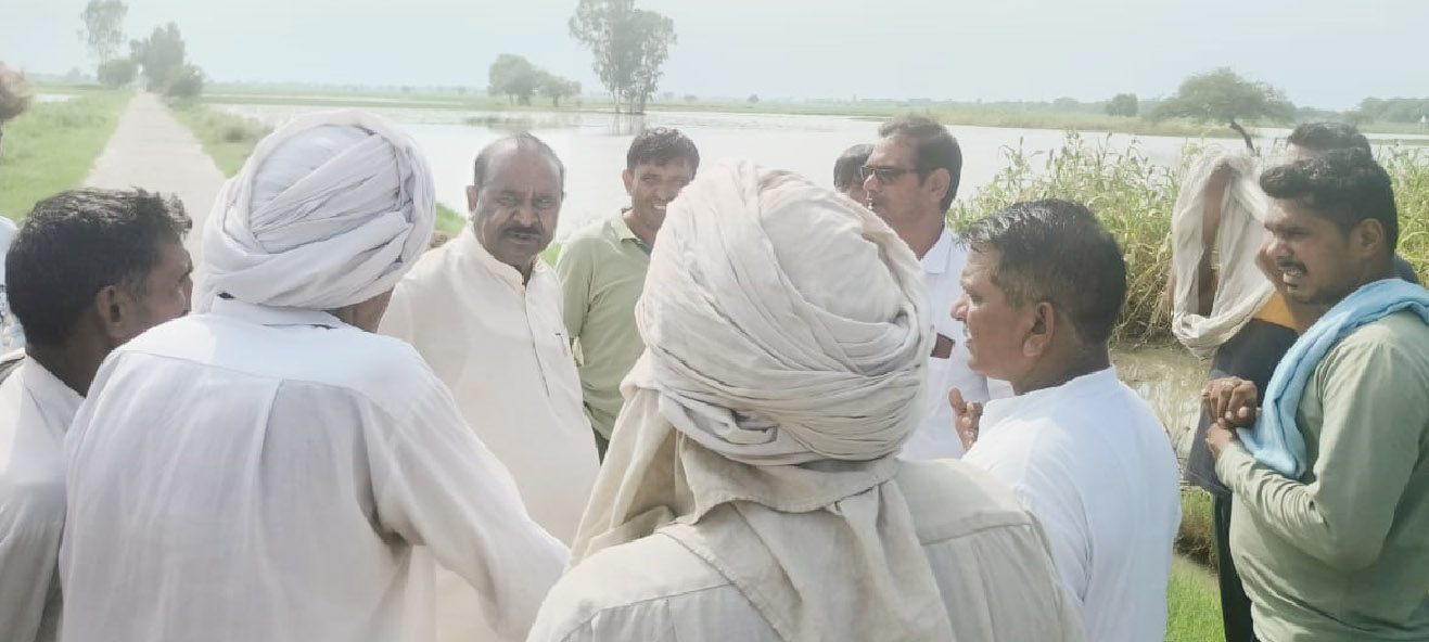 Sonipat: Water logging in Kharkhoda's fields ruined the crop