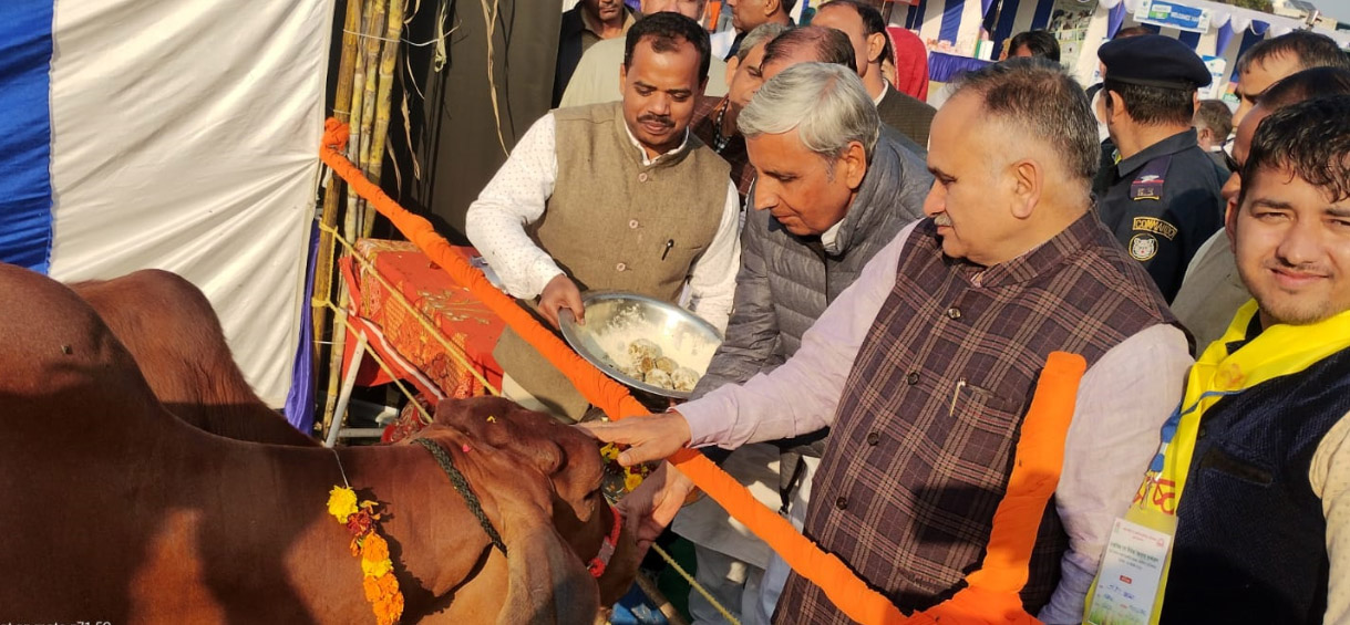 Sonipat: Live up to global standards by focusing on crop production and quality: Agriculture Minister JP Dalal