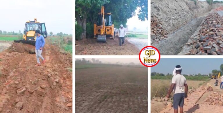 Exclusive Story: Gram Panchayat's positive initiative, more than 100 illegal encroachments removed voluntarily