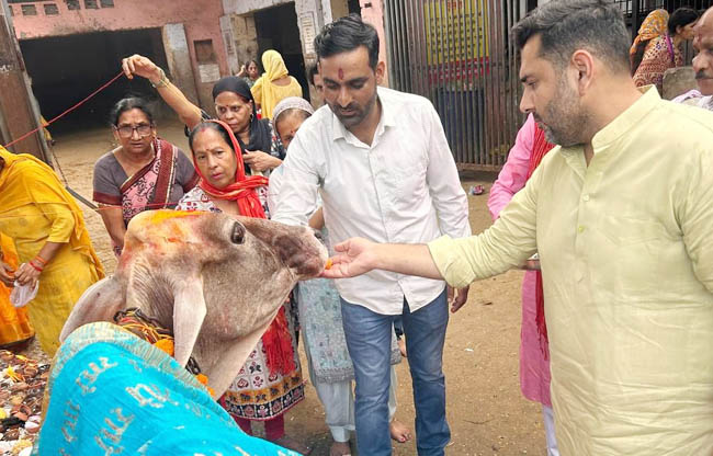 Cow protection and service brings purity to society: MLA Nikhil Madaan