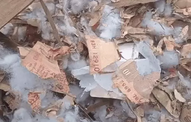 Crushed notes found in the garbage at the railway station premises, GRP registers case