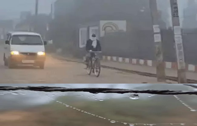 Cold and fog wreak havoc in Sonipat, disrupting normal life