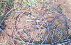 LT line AB cable theft in Sonipat, power supply disrupted