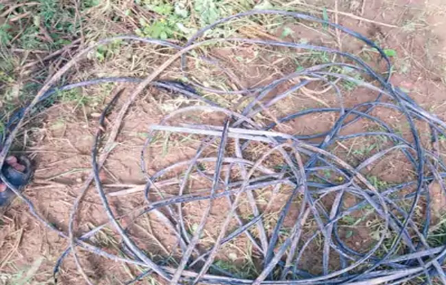 LT line AB cable theft in Sonipat, power supply disrupted