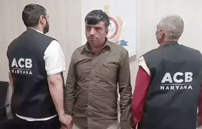 Sonipat: Patwari arrested while taking bribe of Rs 5,000