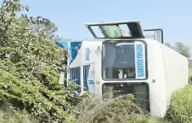 Roadways bus overturned while trying to save a Nilgai, driver, conductor and passenger injured
