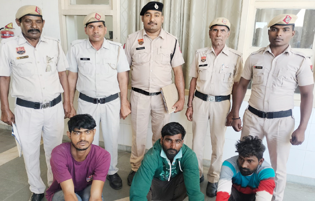 Sonepat: Three accused arrested for stealing Katra from a plot
