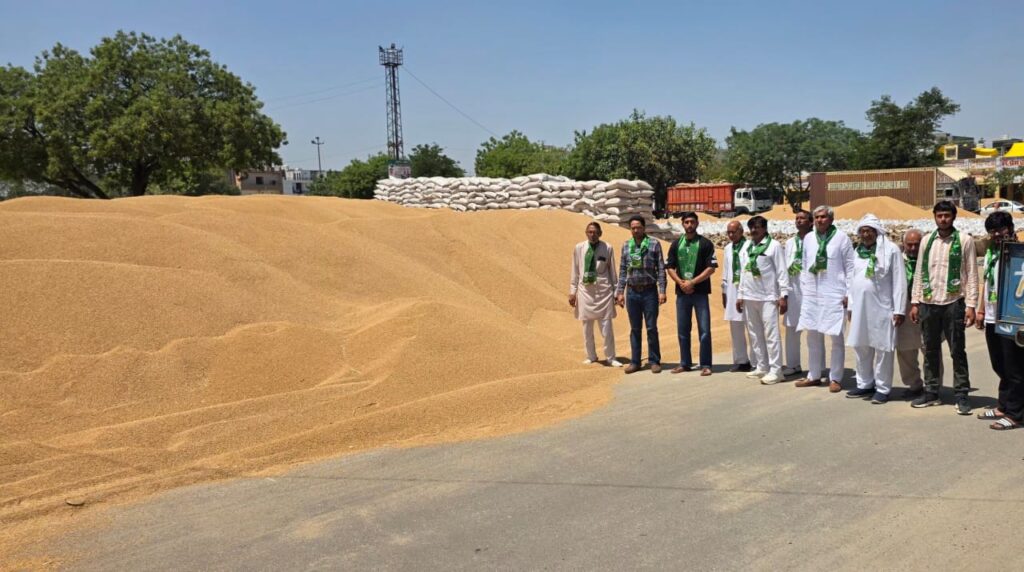 INLD attacks BJP Obstruction in lifting of grains and shortage of gunny bags affect wheat procurement