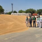 INLD attacks BJP Obstruction in lifting of grains and shortage of gunny bags affect wheat procurement