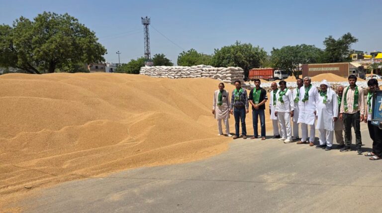 INLD attacks BJP Obstruction in lifting of grains and shortage of gunny bags affect wheat procurement