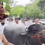 Sonipat Case filed against SE for Jat-Jhotta remark, investigation begins