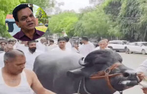 Sonipat Case filed against SE for Jat-Jhotta remark, investigation begins