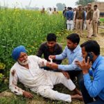Sonipat Leopard attacks farm, elderly farmer injured, condition critical