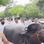 Sonipat: Farmers and Jat community protest against SE's controversial statement