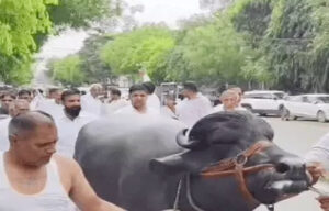 Sonipat: Farmers and Jat community protest against SE's controversial statement