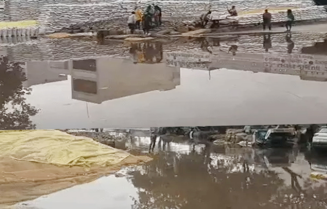 Thousands of sacks of wheat were soaked in Sonipat rain at Kharkhauda grain market, resulting in losses due to delay in lifting.