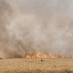 Upload the data of farmers affected by fire through the portal.