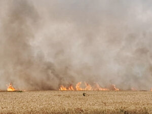 Upload the data of farmers affected by fire through the portal.