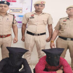 Sonepat Gaming task fraud gang busted, three accused arrested, sent to jail