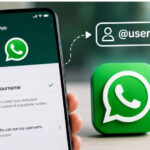 Now chat on WhatsApp without sharing your mobile number; username feature rolled out.