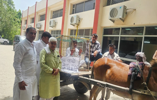 Sonipat District Councillor arrives at the meeting in a horse-drawn carriage, sitting in a cage and bound in chains.