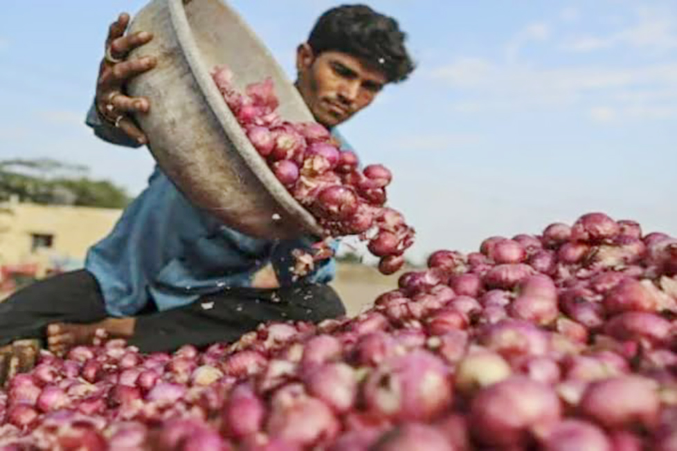 Amidst inflation, onions are set to bring tears again; prices likely to surge due to a hike in the government procurement price.