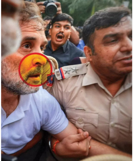 Rahul Gandhi detained from PM's residence; says, "I will fight the students' battle until my last breath."