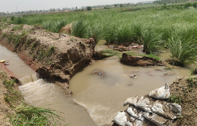 Sonipat Embankment of a distributary branching off the Delhi Parallel Canal breaches; panchayat land submerged.