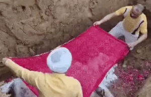 Sonipat Nandini Gau Mata accorded a respectful final farewell in Sonipat in accordance with Vedic rites. Gjd News
