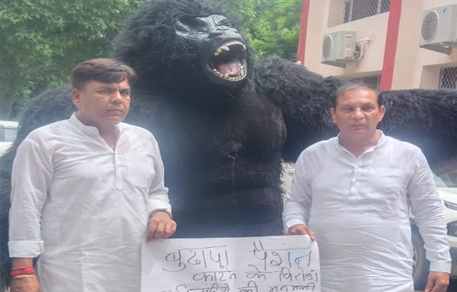 Sonipat: Councilor arrives at Zila Parishad meeting dressed as a gorilla to protest pension cuts.